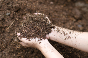 Zu viel Phosphat im Garten - Was tun?