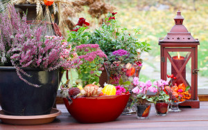 Deko für die Gartenterrasse